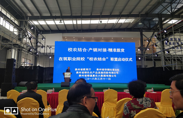 20180312165531278.jpg 1.jpg